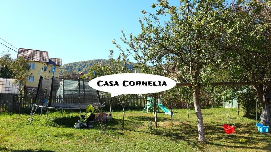Hotel Casa Cornelia Bran  Exteriér fotografie