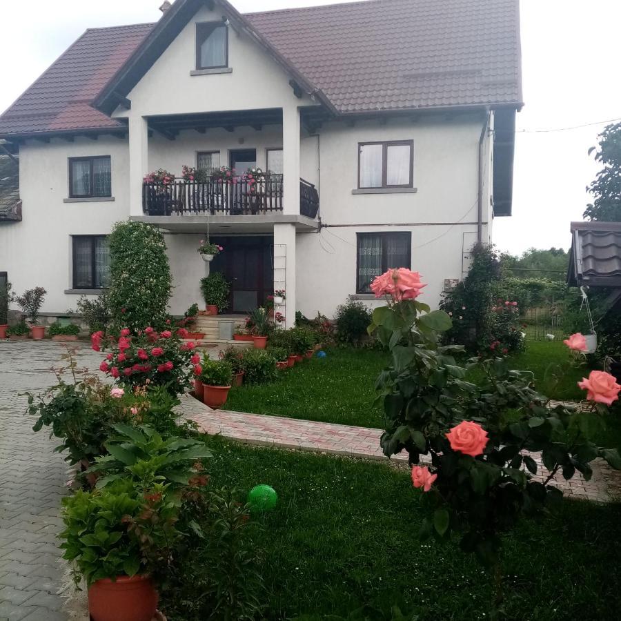 Hotel Casa Cornelia Bran  Exteriér fotografie
